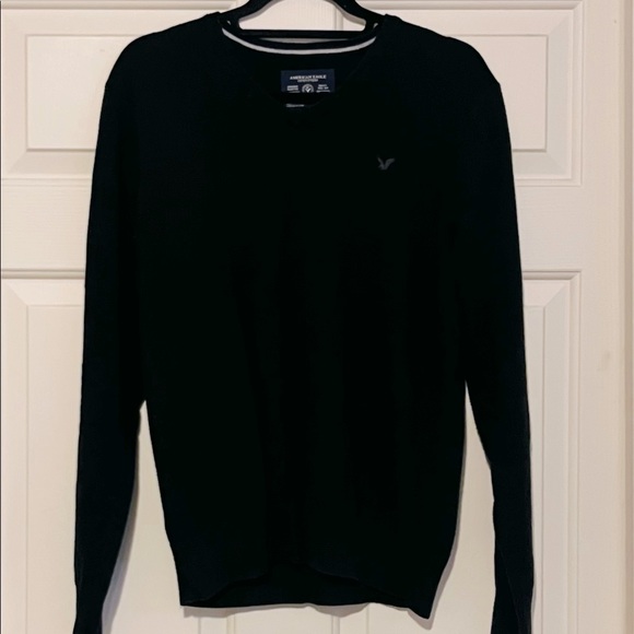 EUC~A.E. Men’s V-Neck Sweater - Picture 1 of 3
